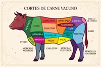 Butcher meat cut diagram of cow