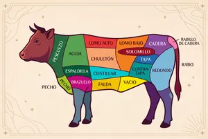 Butcher meat chart for beef cow