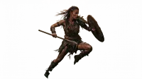 Cutout