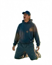 Cutout