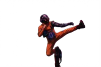 Cutout