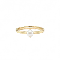 Cutout