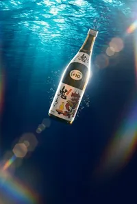 AI-generated image in the Nano Studio Pro gallery