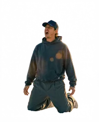 Cutout