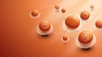 Admin banner — users