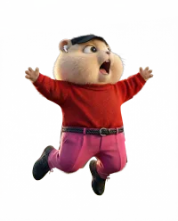 Cutout