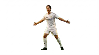 Cutout