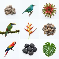 Different jungle plants flowers , birds and rocks…
