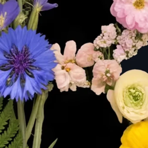 Daisies and poppies packed into a letter