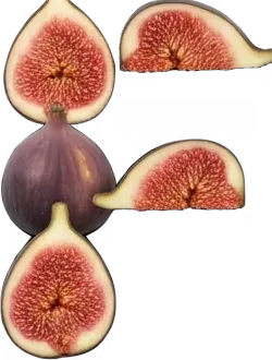 A letter F built from halved figs